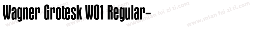 Wagner Grotesk W01 Regular字体转换